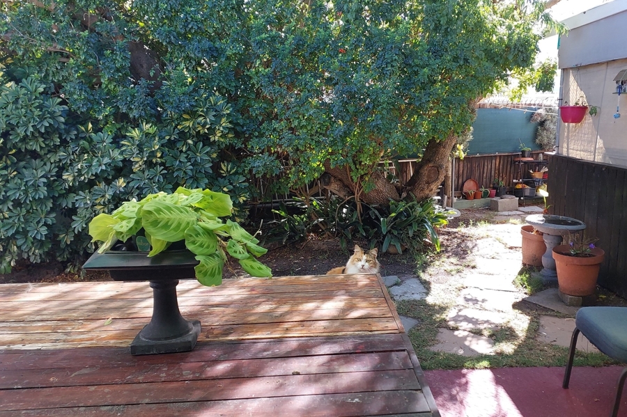 2 Bedroom Property for Sale in Silverglade Western Cape